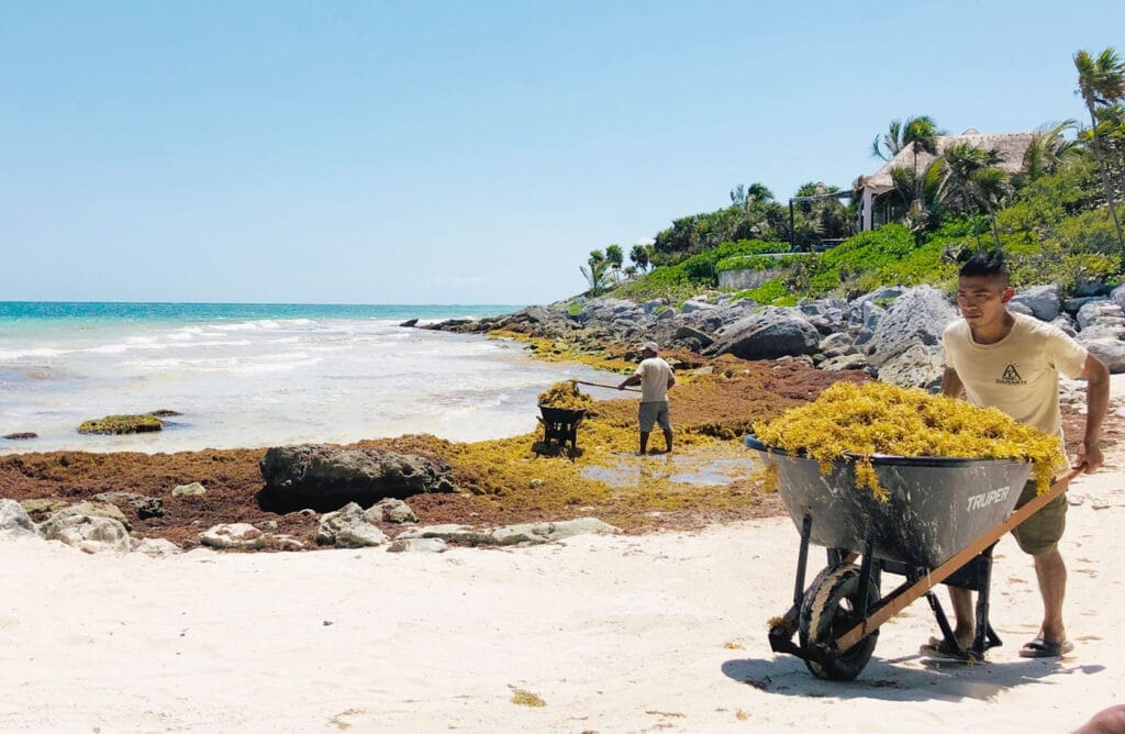 Tulum's Perfect Storm, How Greed And Nature Are Driving Tourists Away